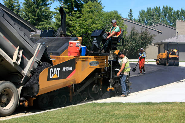 Best Residential Driveway Paver Services  in Mountain Lake, MN